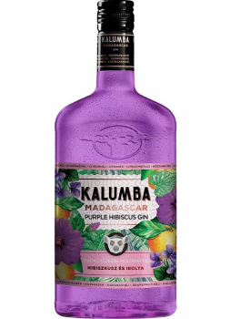 kalumba-purple-hibiscus.jpg