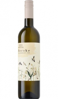konyari_fecske_feher_2023.jpg