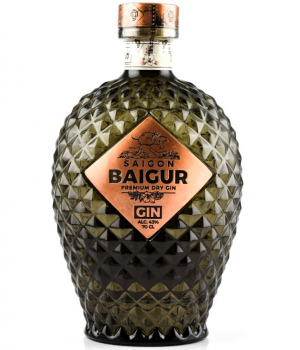 saigon-baigur.jpg